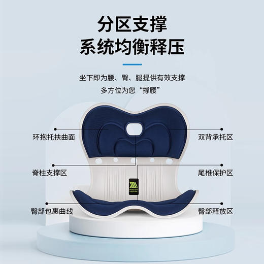 【出口欧美日本】思菲其思菲矫姿坐垫，第2代和第四代，一秒防驼背，久坐不累 商品图2
