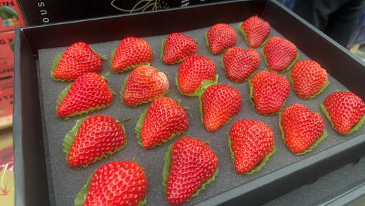 不曾入眼 何以入心 正宗丹东草莓🍓，完熟甜糯不空心！小时候的草莓味道，自然香浓～ 商品图6
