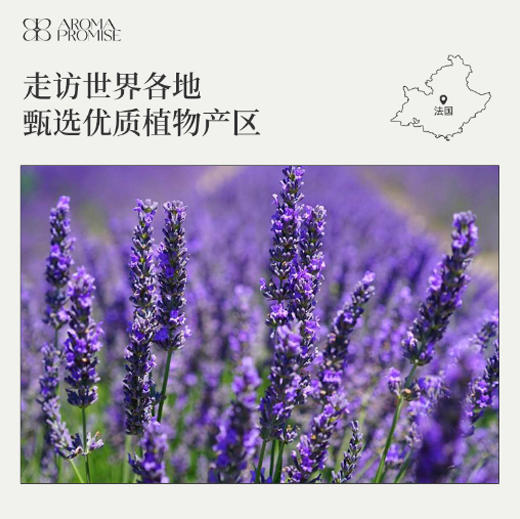 醒目薰衣草精油5ml （限用日期2025/1/18） 商品图5