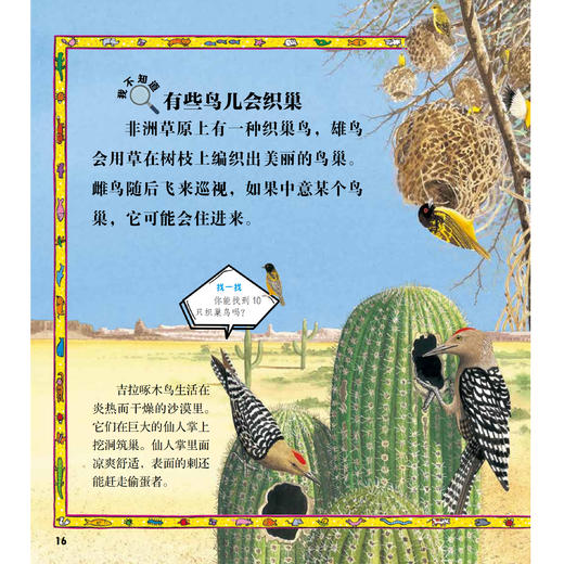 《太酷啦！动物的秘密如此多》（全12册） 商品图12