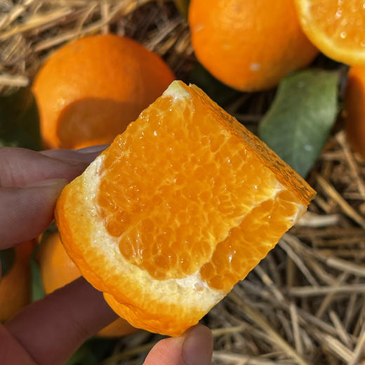 雲端•甜沃柑，一口爆汁，清香扑鼻、果肉细腻化渣 商品图2