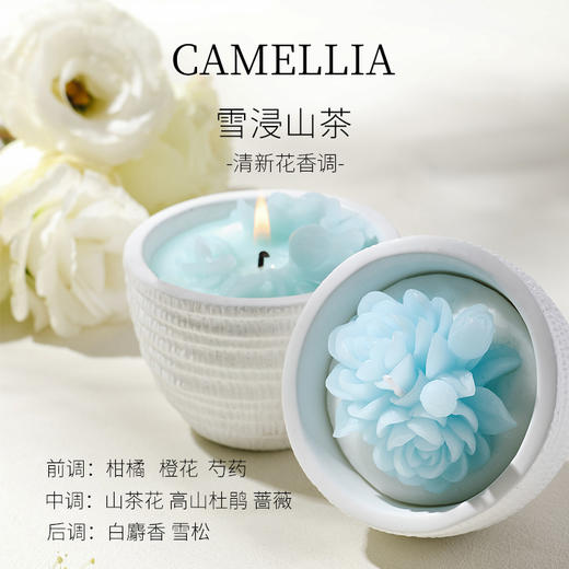 栖溪盆栽植物香薰蜡烛 雪浸山茶/仙客茉茶/山野栀茶 能种花的蜡烛 商品图2