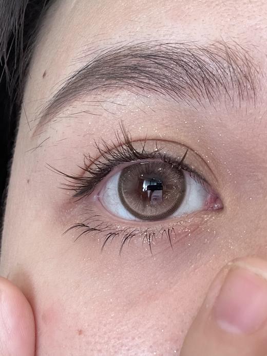 Budercon美瞳 皇家千层 14.2mm 商品图1