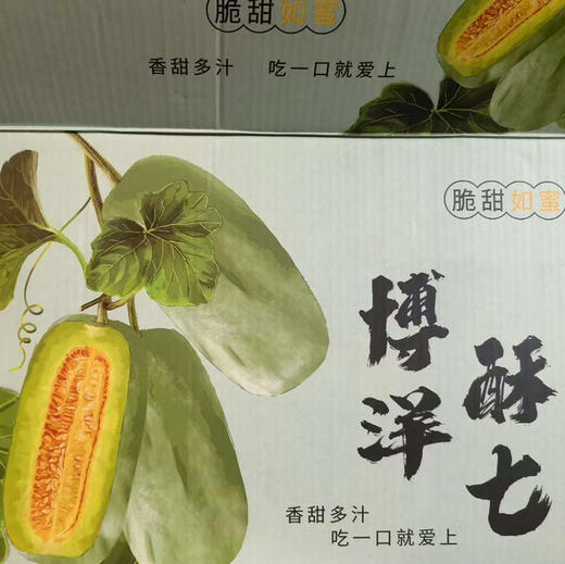 博洋酥7甜瓜顺丰/京东快递包邮下单从山东发货 商品图3