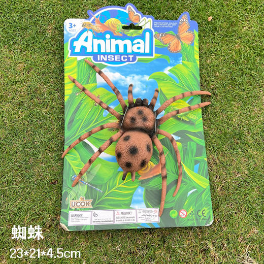 昆虫世界模型 商品图5