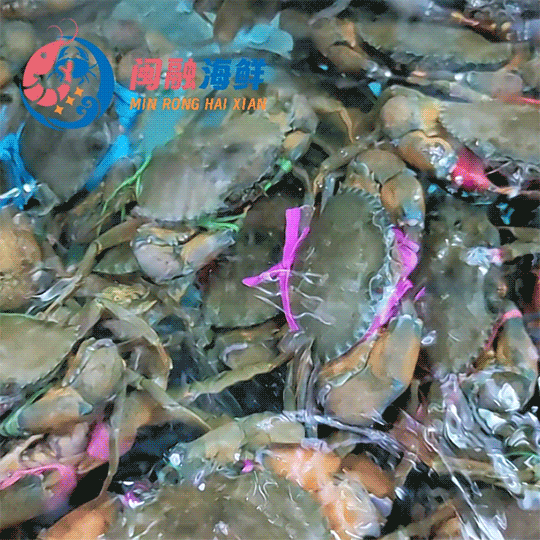 鲜活小肉蟹 /只
