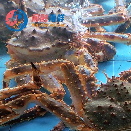 鲜活帝王蟹 商品图0