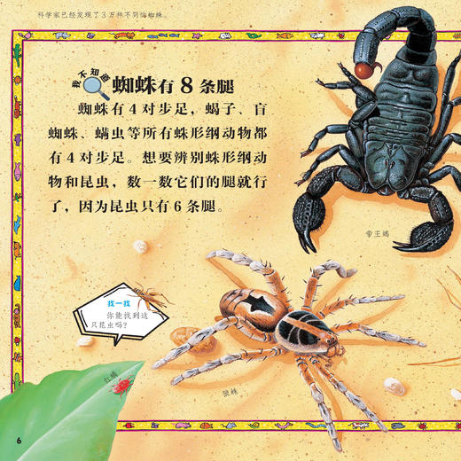 《太酷啦！动物的秘密如此多》（全12册） 商品图13