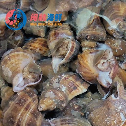 红螺 /斤 商品图0