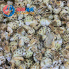 海南花螺 /斤 商品缩略图0