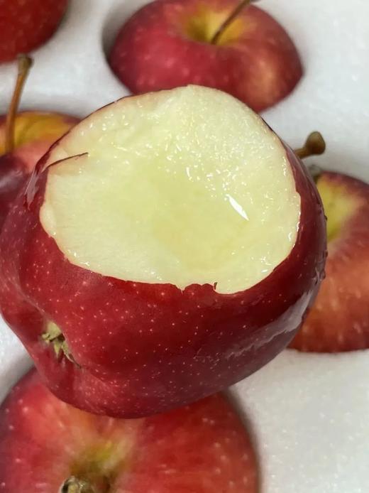 水蜜桃口感！新西兰小花苹果，原装进口 商品图2