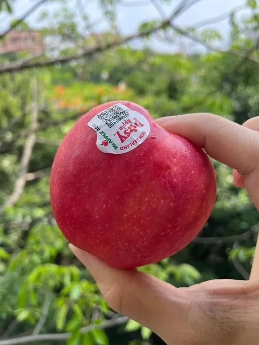 水蜜桃口感！新西兰小花苹果，原装进口 商品图3