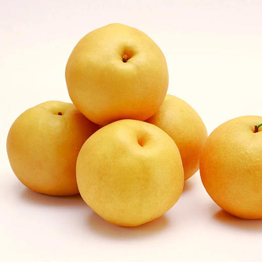 【鲜嫩多汁！山东冰糖丰水梨】产地直发人工精心挑选，粒粒饱满，脆甜嫩滑，新鲜水果丰水梨非秋月梨 商品图2