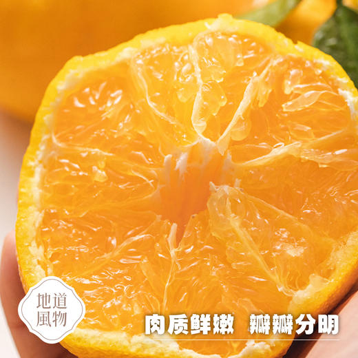 四川蒲江  柠檬不知火  多规格任选 商品图1