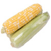 【爆浆水果甜玉米！云南金银水果玉米】一口下去，脆甜爽口，鲜嫩多汁，现摘整箱新鲜生吃甜玉米棒子， 商品缩略图6