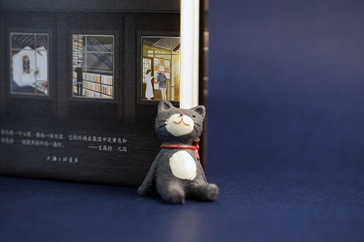 书店的灯光（美）刘易斯·布兹比 著 商品图5