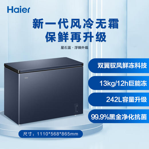 海尔（Haier）242升 风冷无霜 冰柜 家用商用一级能效 省电保鲜 全冷冻卧式冷柜 -38°深冷BC/BD-242WGHED 商品图0