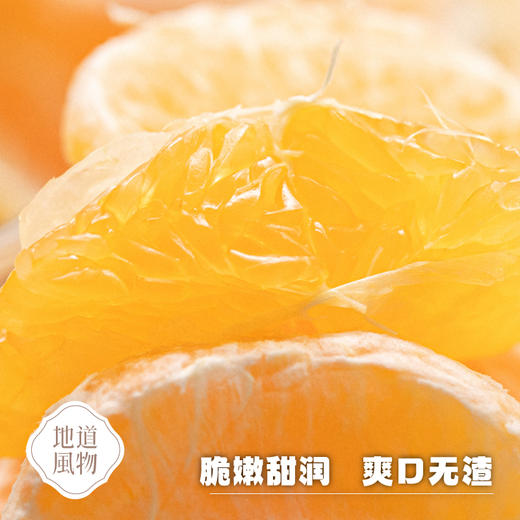四川蒲江  柠檬不知火  多规格任选 商品图2