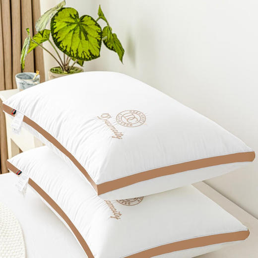 百丽安娜（Belle Anna） 2022秋冬新款 羽丝绒 立体对枕 商品图2