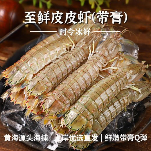 冰鲜 | 带膏皮皮虾 1200g/份（36-48只左右）黄金捕捞期  肥壮膏美 商品图1