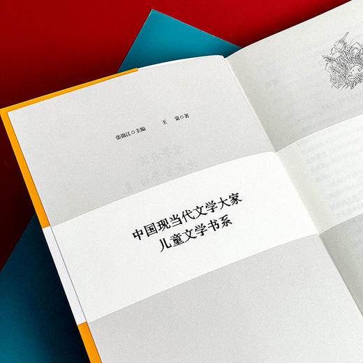 中国现当代文学大家儿童文学书系 王蒙卷 儿童文学选集 商品图5