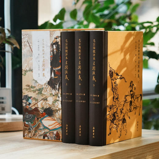 《毛宗岗批评本三国演义》（全三册） 商品图0