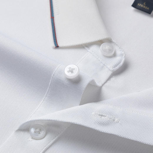 罗蒙男士夏季舒适百搭polo衫男短袖商务休闲时尚男士t恤短袖polo衫 商品图6