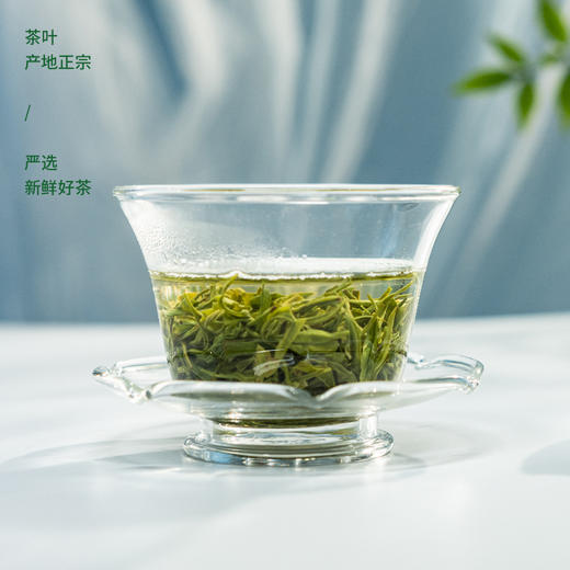 烘青绿茶250g 商品图2