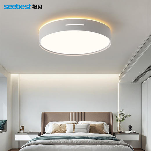 瑞雪系列-客卧灯 商品图2