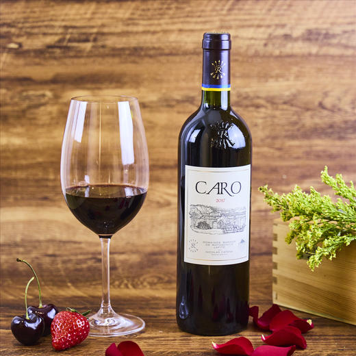 拉菲凯洛干红葡萄酒 商品图0