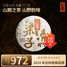 【福元昌古树】2024年茶王地系列-滑竹梁子古树纯料357g生饼