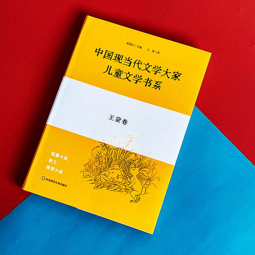 中国现当代文学大家儿童文学书系 王蒙卷 儿童文学选集 商品图3