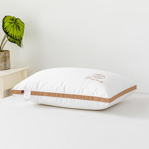 百丽安娜（Belle Anna） 2022秋冬新款 羽丝绒 立体对枕 商品图1