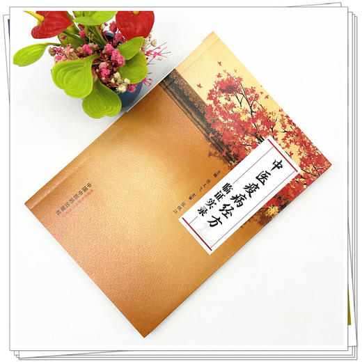 中医疫病经方临证实录 陈玉飞 主编 中国中医药出版社 商品图2