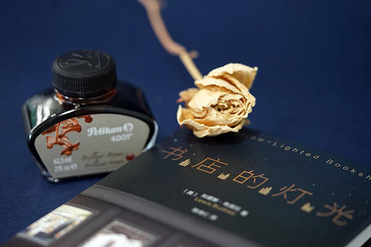 书店的灯光（美）刘易斯·布兹比 著 商品图4