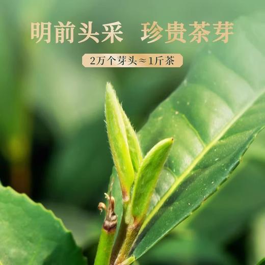 华祥苑国缤小蓝罐特级明前龙井茶叶2024年正季绿茶 商品图4