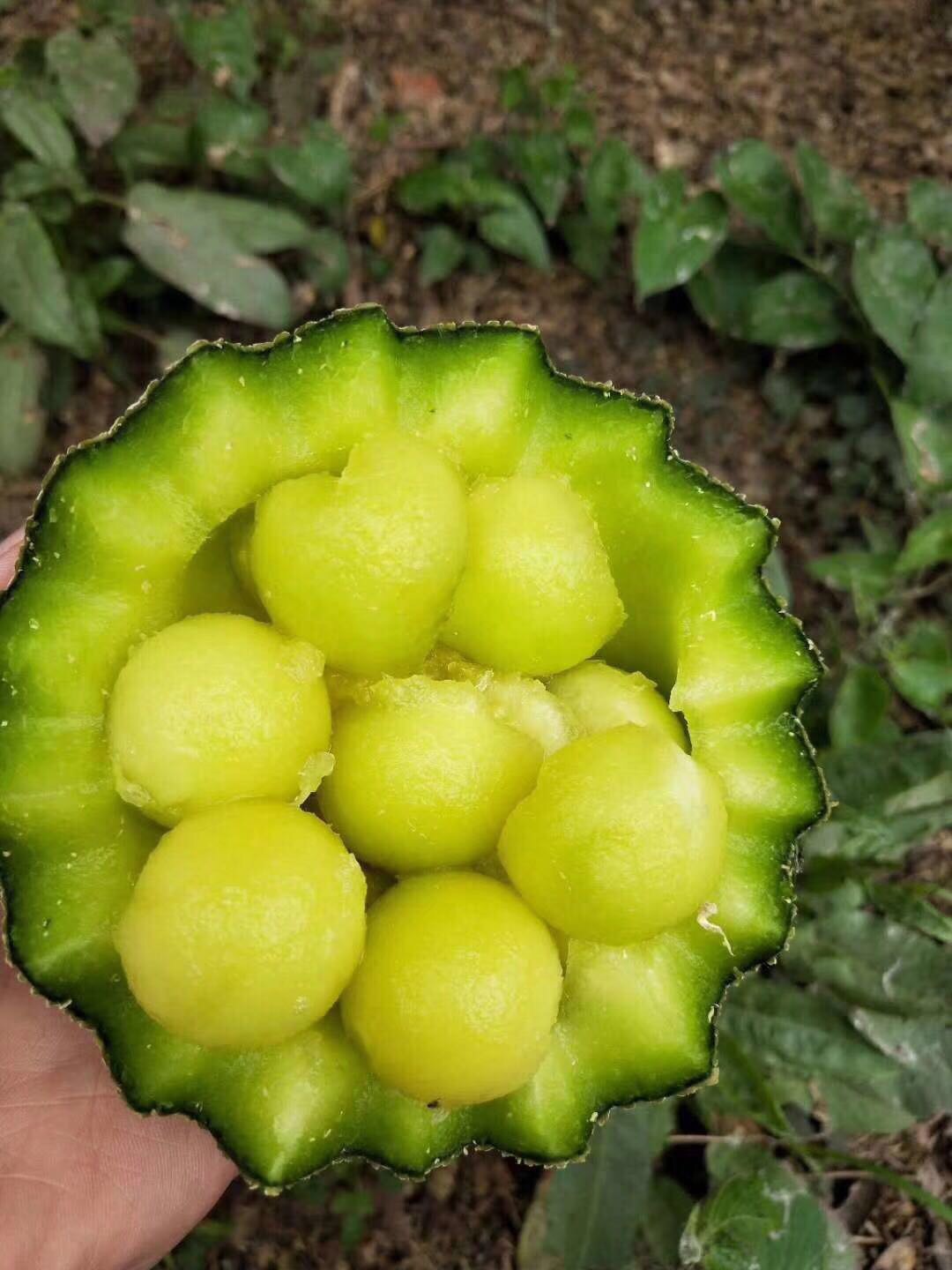 微信图片_201911200232169 - 副本.jpg