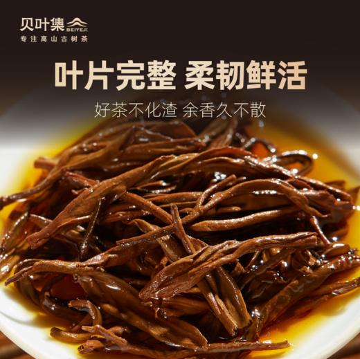 经典58 | 经典配方传统工夫高山滇红250g 商品图7