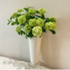 氛围感植物丨木绣球丨5支 商品缩略图3