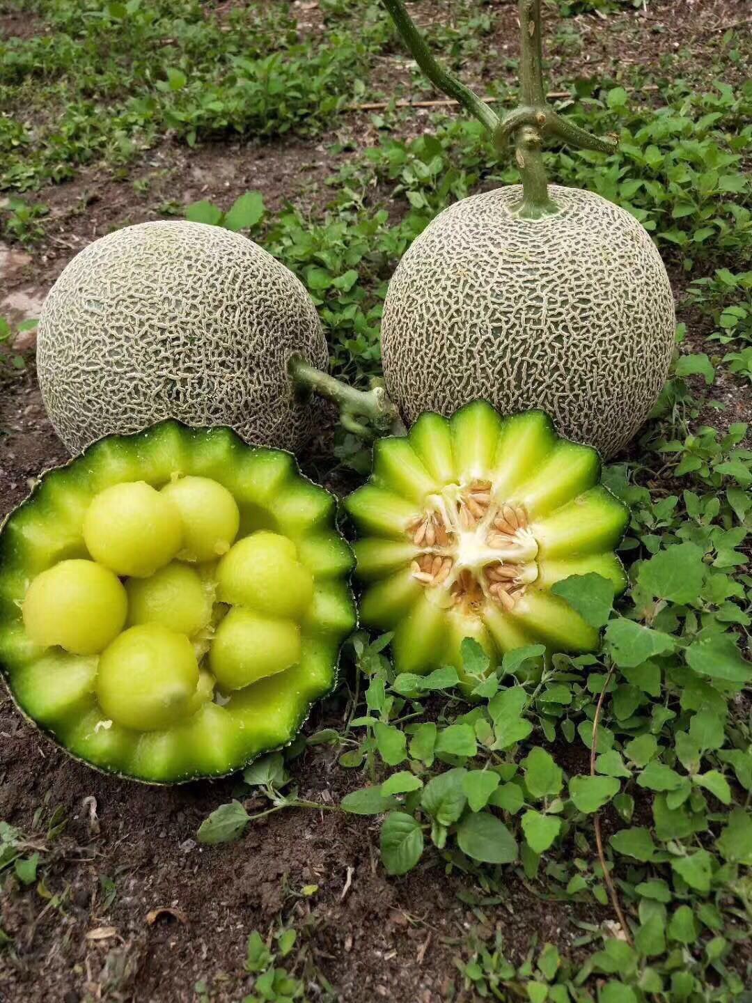 微信图片_2019112002321612 - 副本.jpg