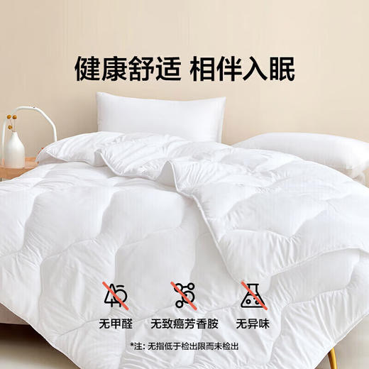 LOVO 轻柔蓬蓬春秋被 商品图5