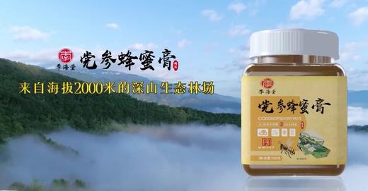 季海堂党参蜂蜜膏 商品图5