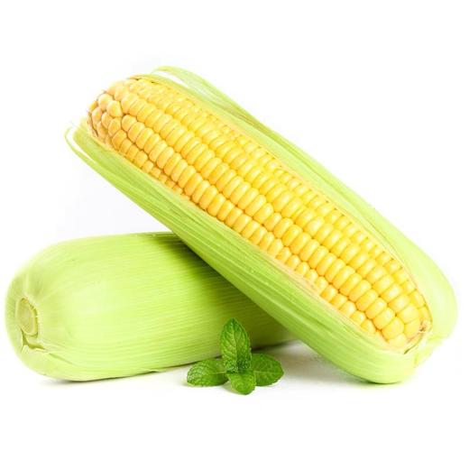 【19.9抢3斤！可以当水果吃的玉米】原产地采摘 个大饱满 营养丰富 新鲜脆嫩 口口爆汁 香甜爽口 水果玉米 商品图4