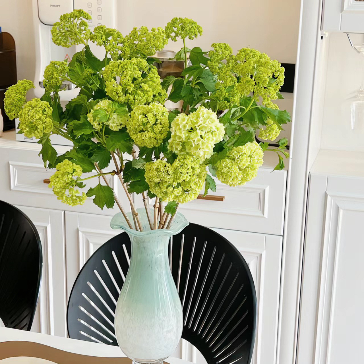 氛围感植物丨木绣球丨5支