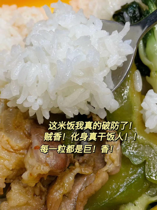 大米内蒙古草原海水稻乳香米10斤真空包装（水要少量）外地不发 商品图12