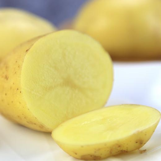 【现摘现发！黄皮土豆5斤更值】自然成熟，精挑细选，营养健康，颗颗饱满，淡黄鲜亮，可炸薯条/醋溜士豆丝/土豆炖鸡肉 商品图3