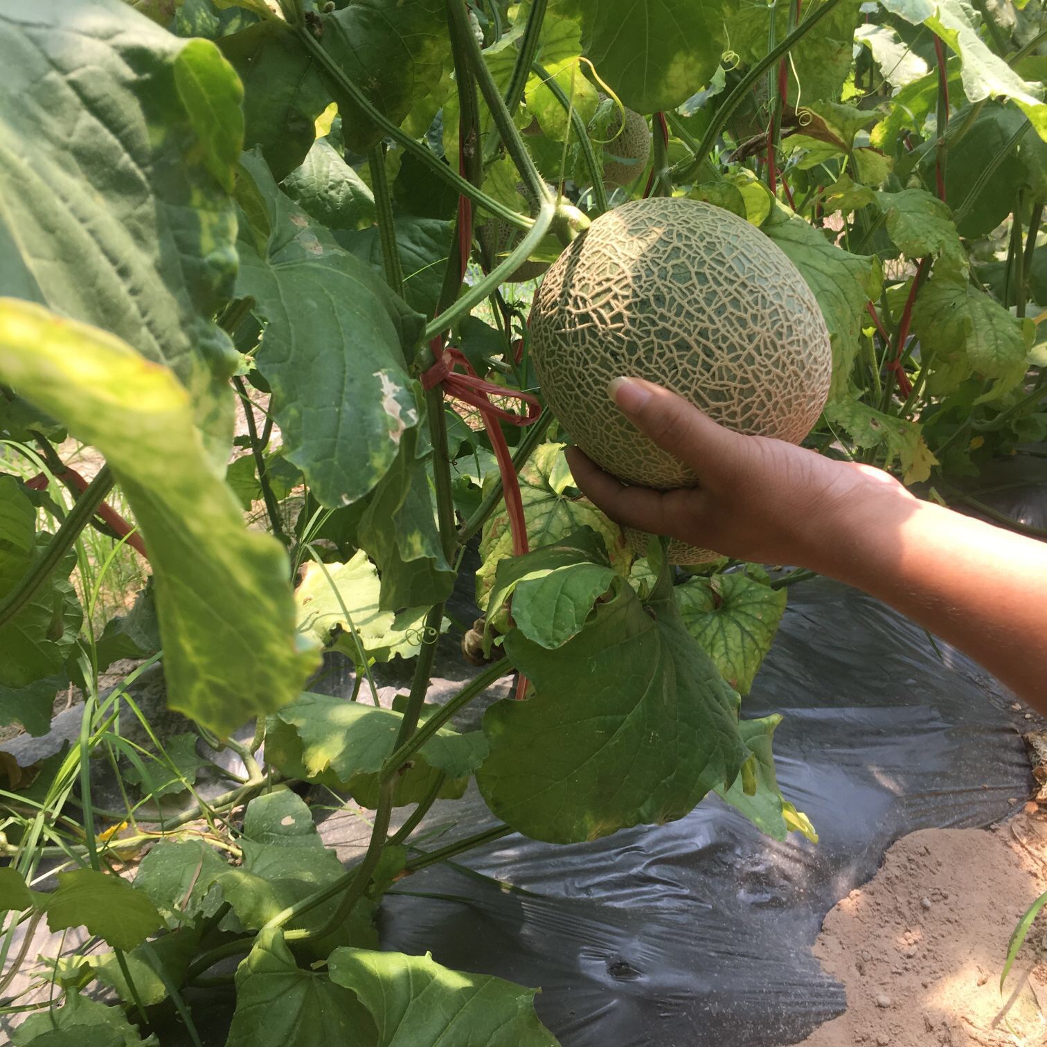 微信图片_201911200232166 - 副本.jpg