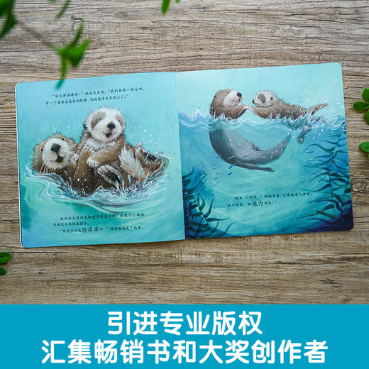 暖房子心成长系列绘本·第五辑：手牵着手(〔英〕简·查普曼 文、图；徐甜 译) 商品图2