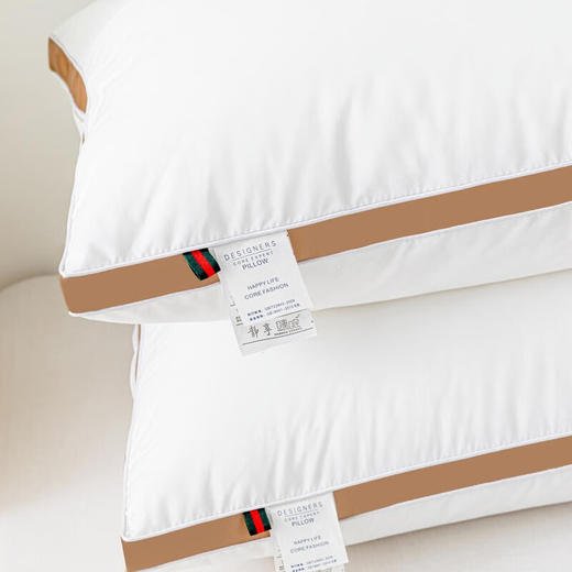 百丽安娜（Belle Anna） 2022秋冬新款 羽丝绒 立体对枕 商品图4