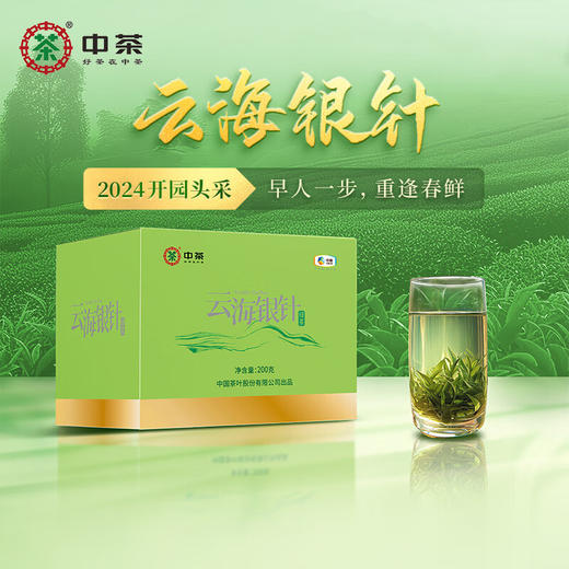 2024年中茶云海银针200g早春绿茶 商品图0